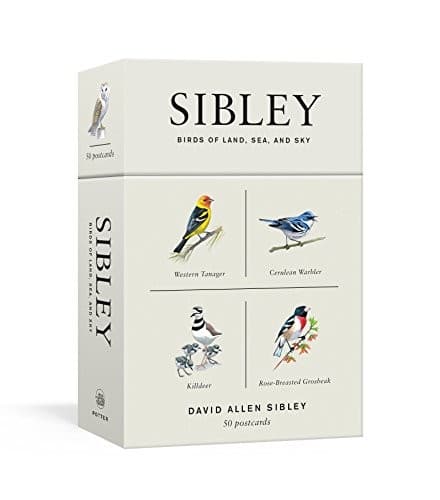 Sibley Birds of Land, Sea, and Sky