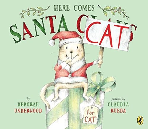 Here comes Santa Cat