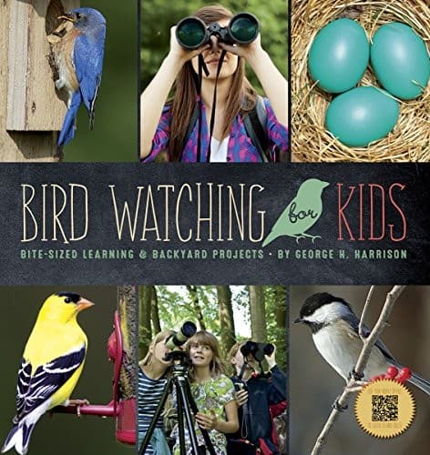 Birdwatching For Kids