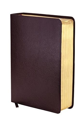 NIV Zondervan Study Bible, Bonded Leather, Burgundy