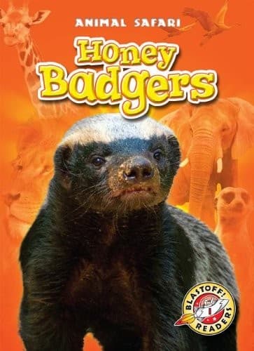 Honey Badgers