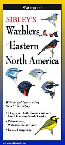 Sibley's Warblers of Eastern North America