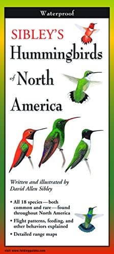 Sibley's Hummingbirds of North America