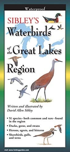 Sibley's Waterbirds of the Great Lakes