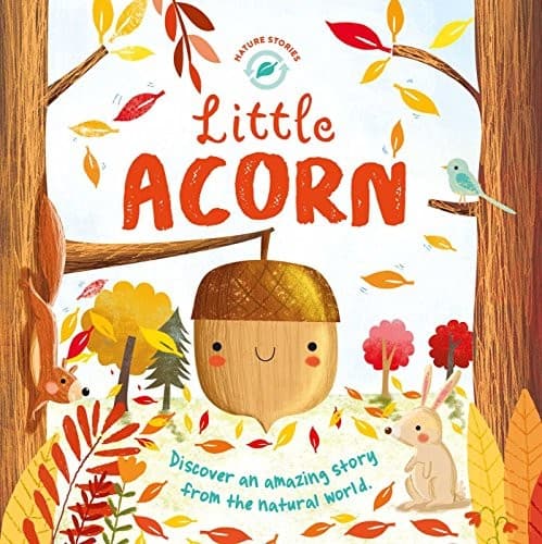 Little Acorn