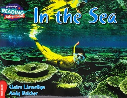 In the Sea
