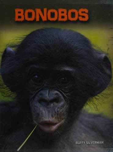 Bonobos