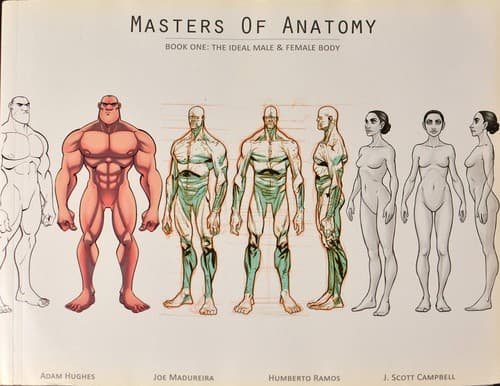 The Ideal Male & Female Body (Masters of Anatomy #1)