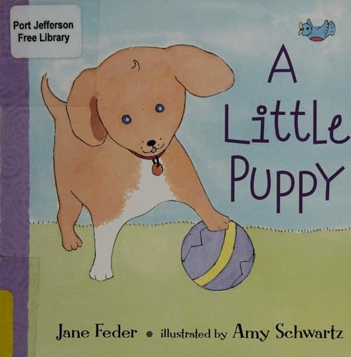 A Little puppy