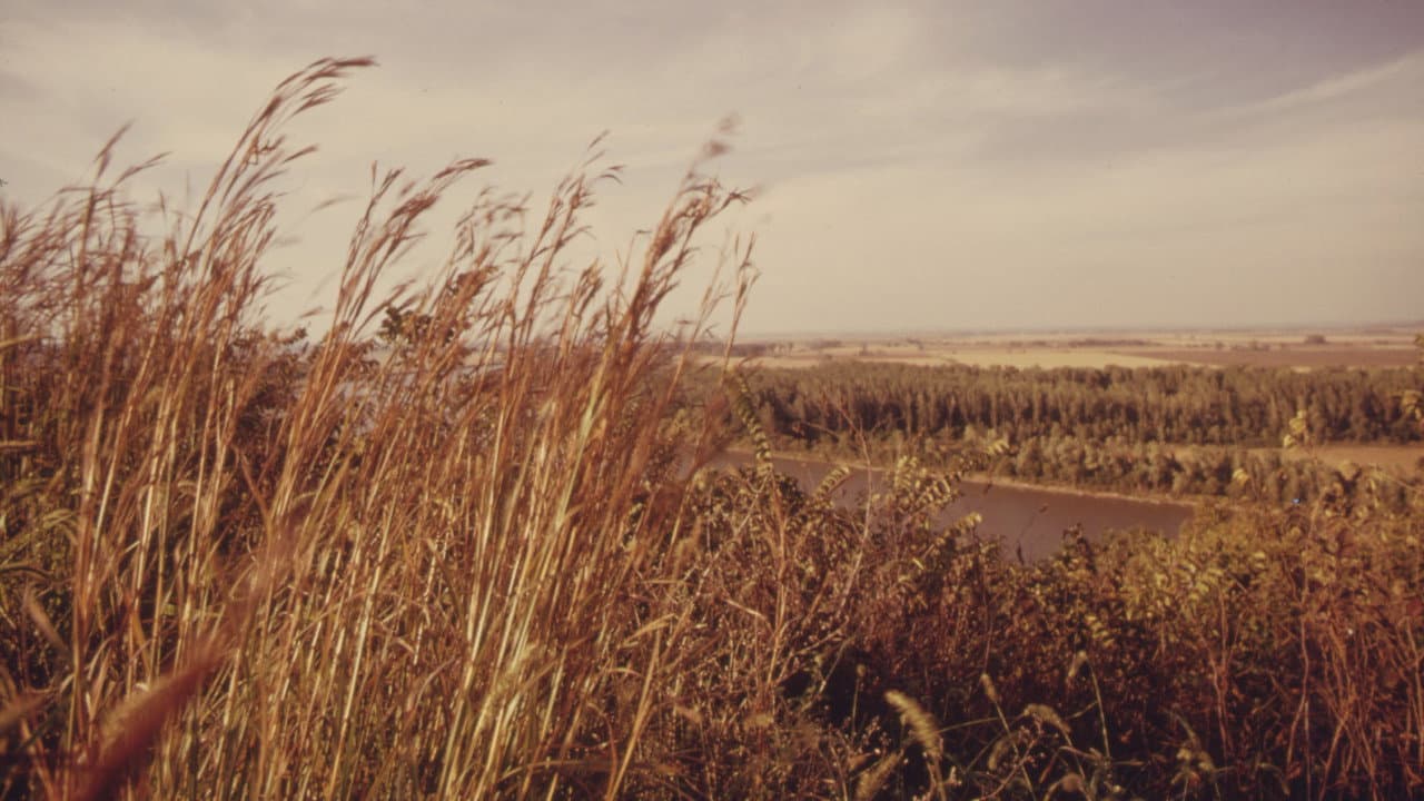 America's Lost Landscape: The Tallgrass Prairie