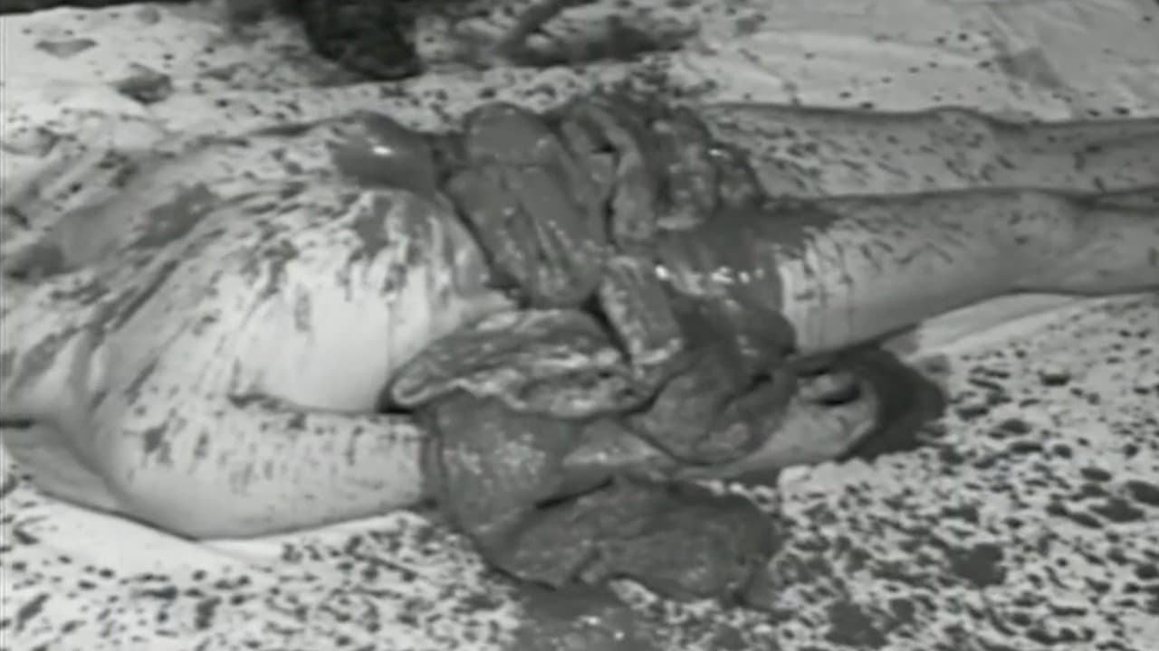The Action Art of Hermann Nitsch from Past to Present
