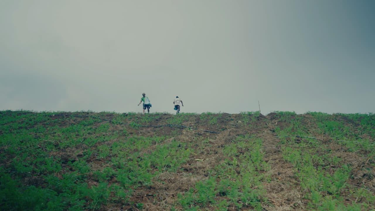 People of the Highlands