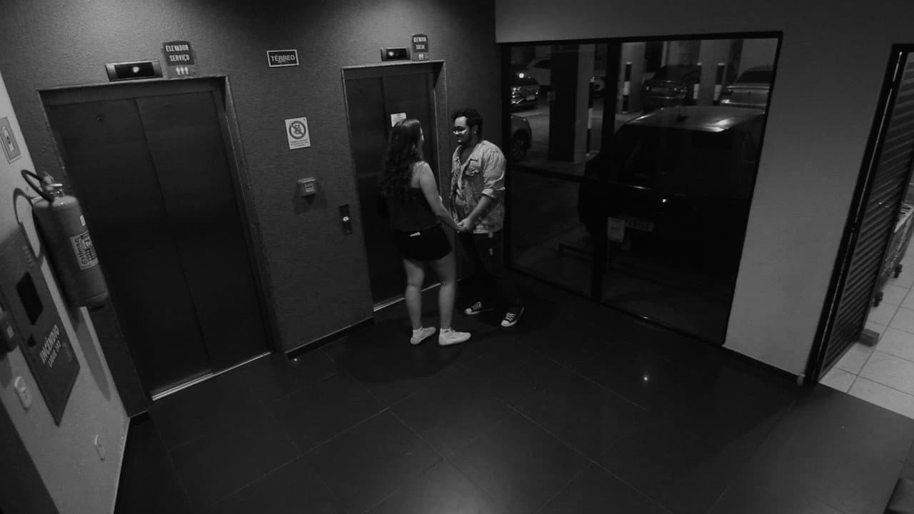 The Cameras at Palmer Building