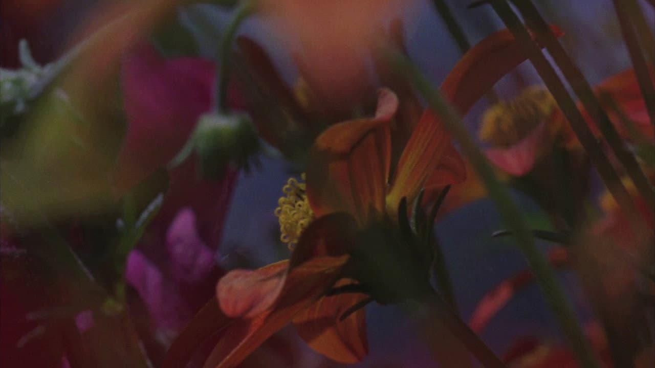 Flowerbed