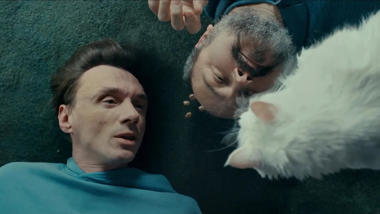 Cats on Glass