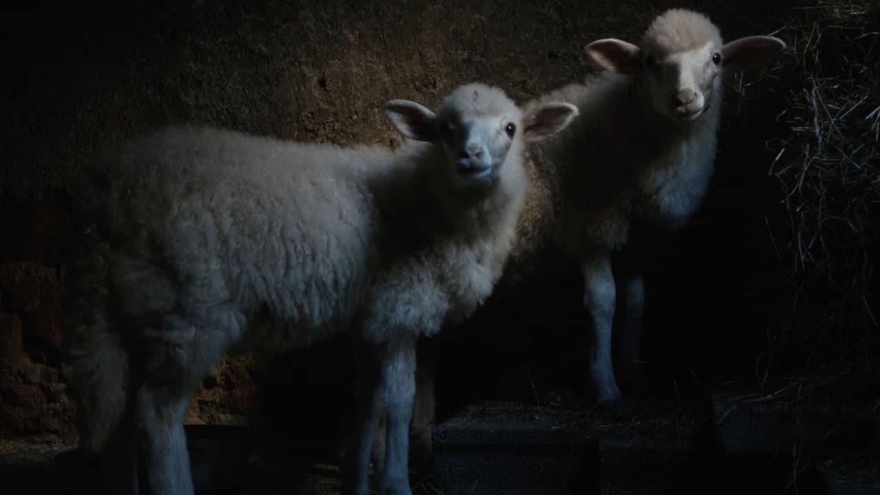 Agnus Dei