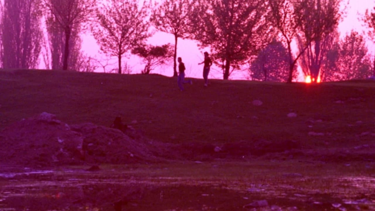Pink Night