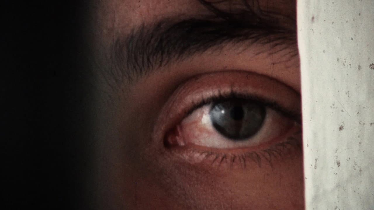 Shock Video