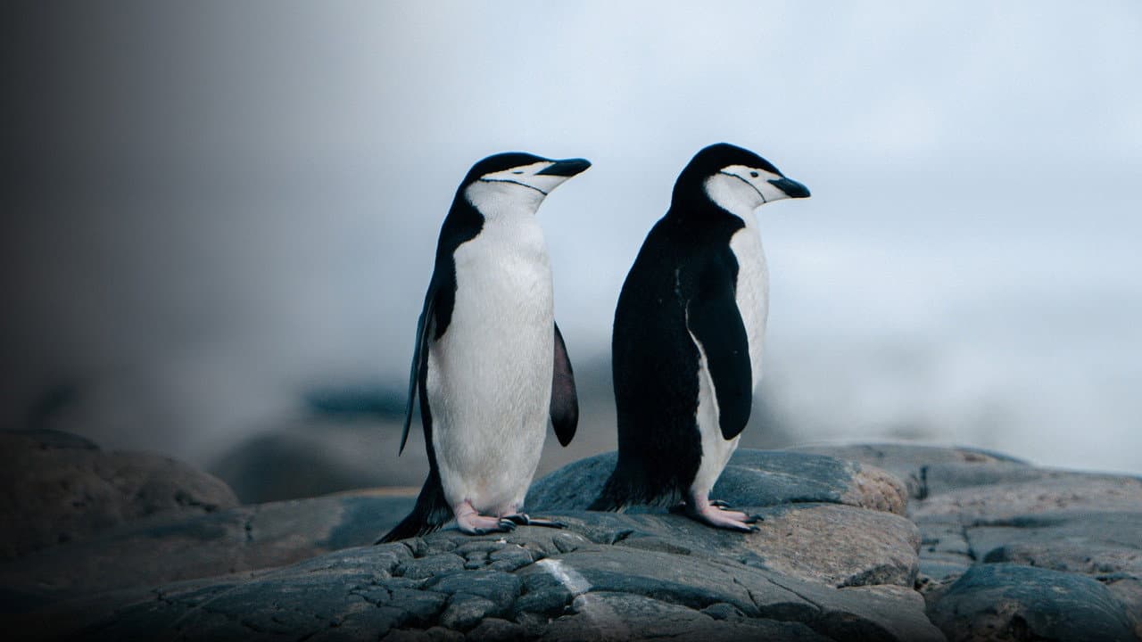 Animal Pride: Nature's Coming Out Story