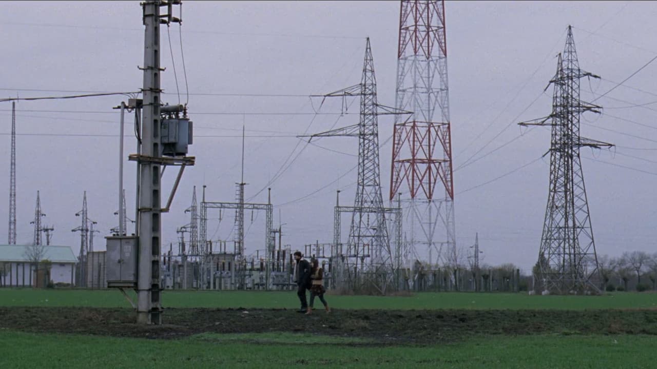 High Voltage