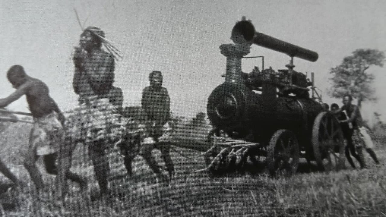 Wonder Afrika