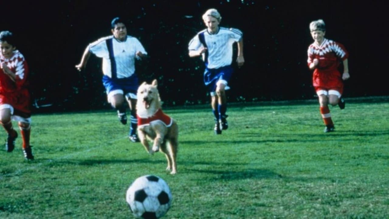 Soccer Dog: The Movie