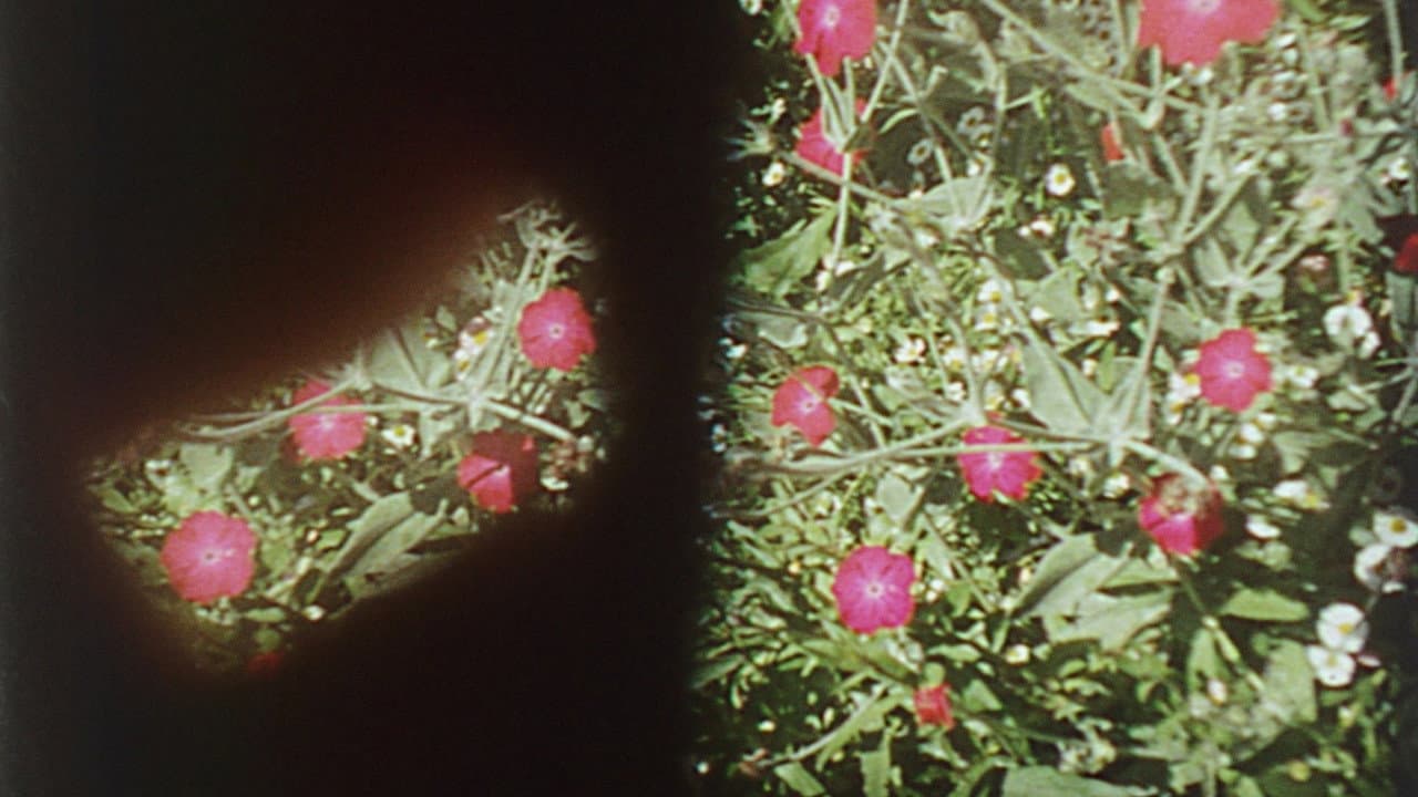 Precarious Garden