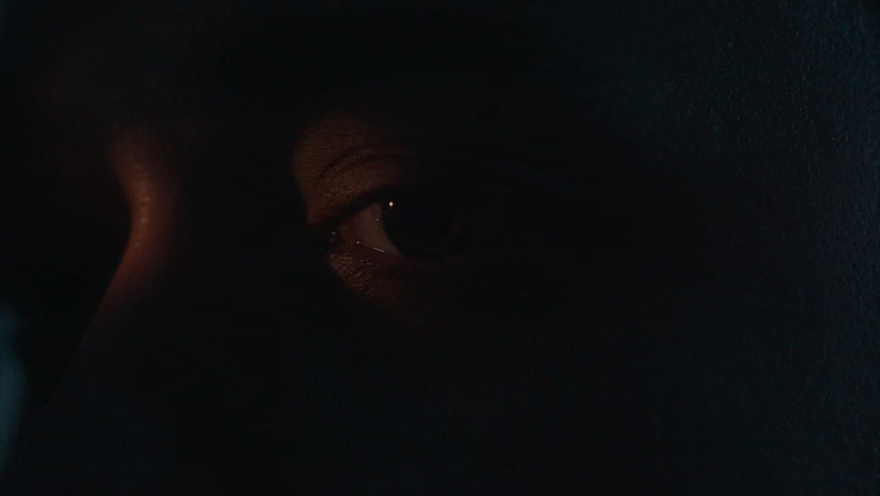 Nocturnal