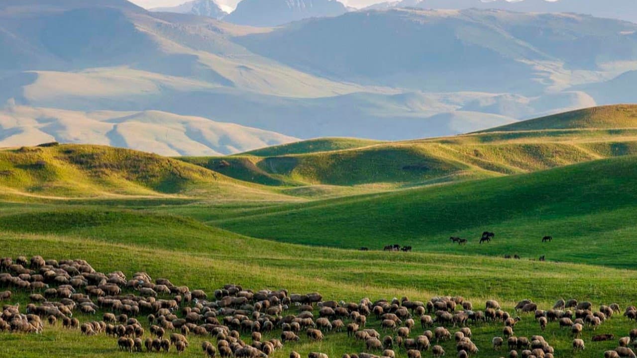Kasachstan: Sterne, Steppe, Stutenmilch