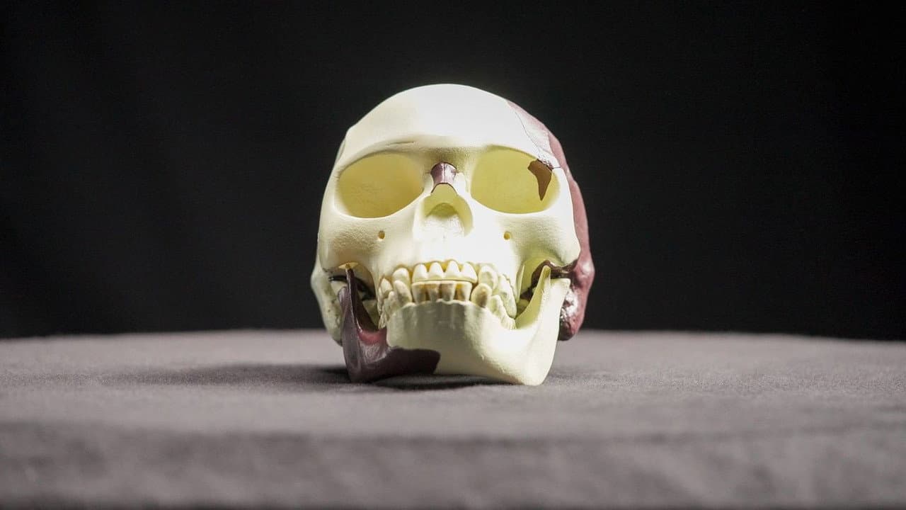 Fraudes et Mensonges Scientifiques