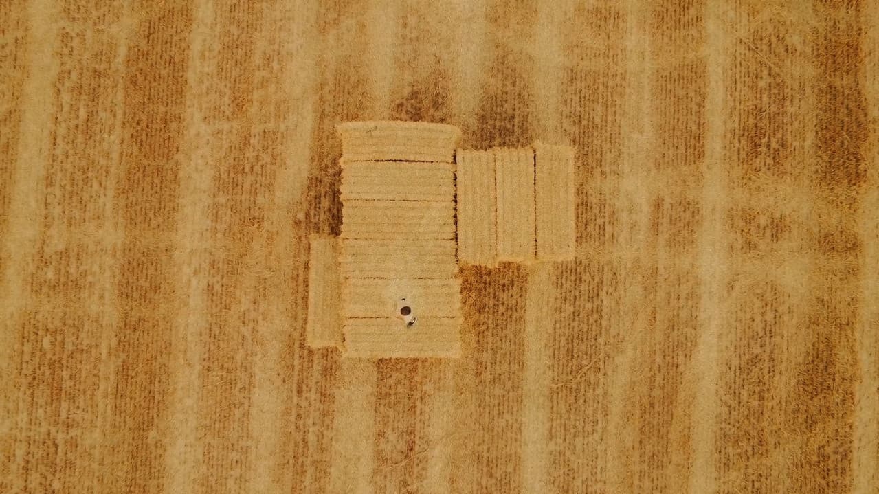 Katsu