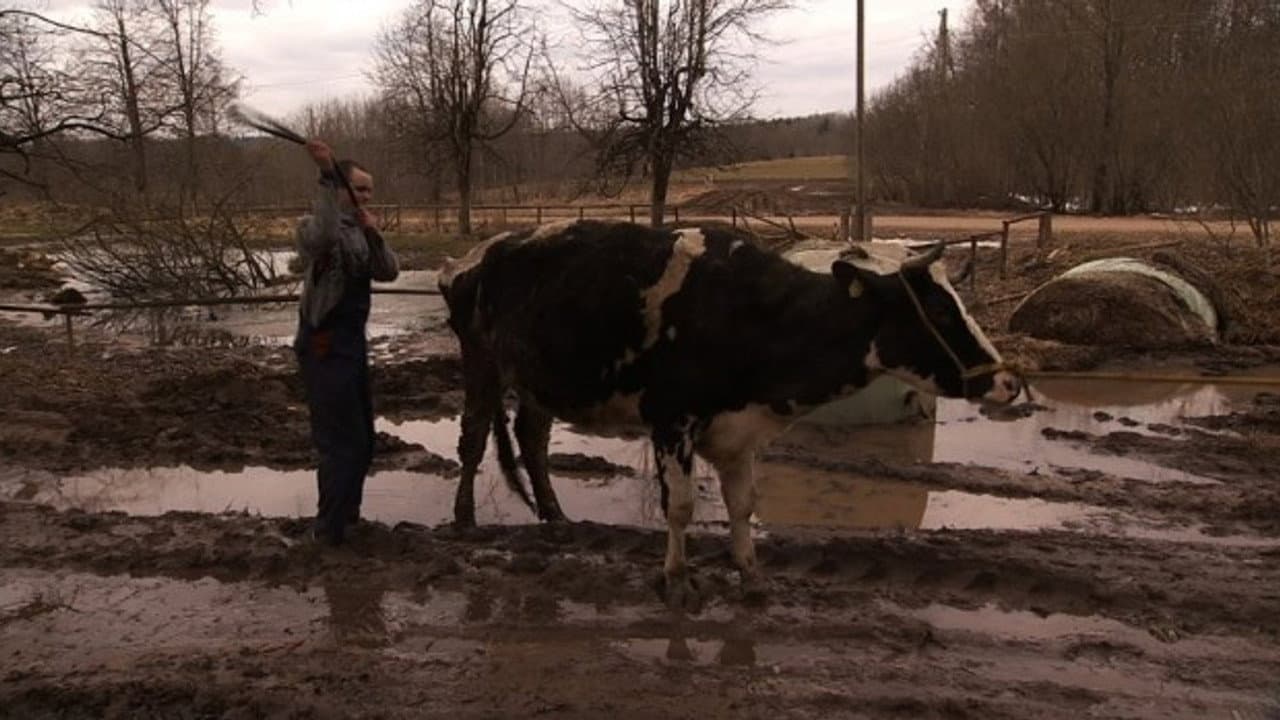 Mud