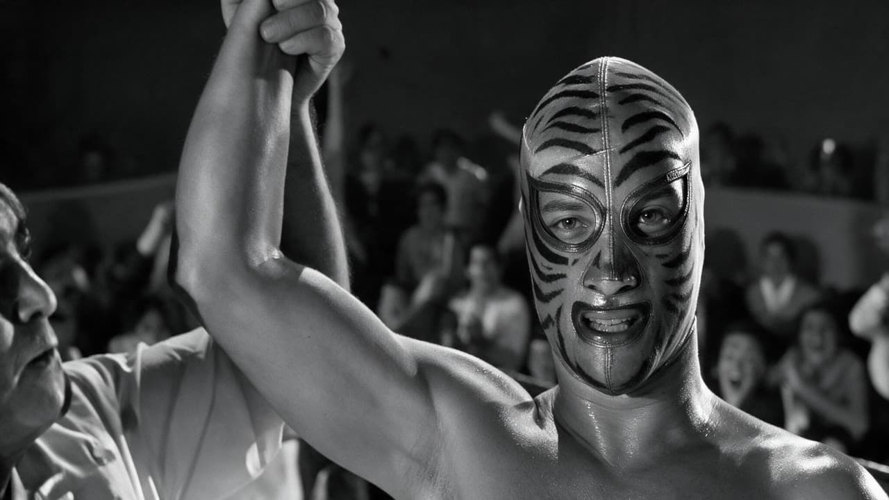 Los tigres del ring