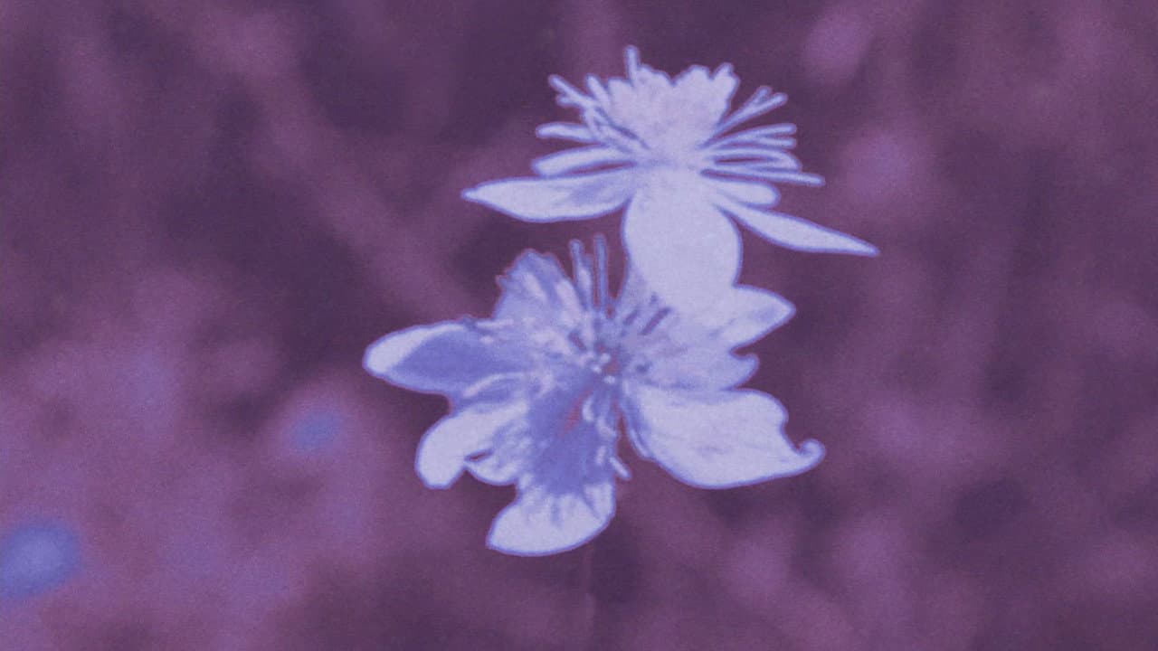 Zinzindurrunkarratz
