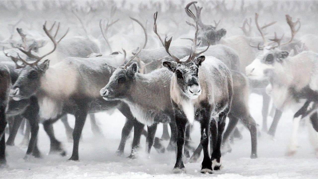 On Thin Ice