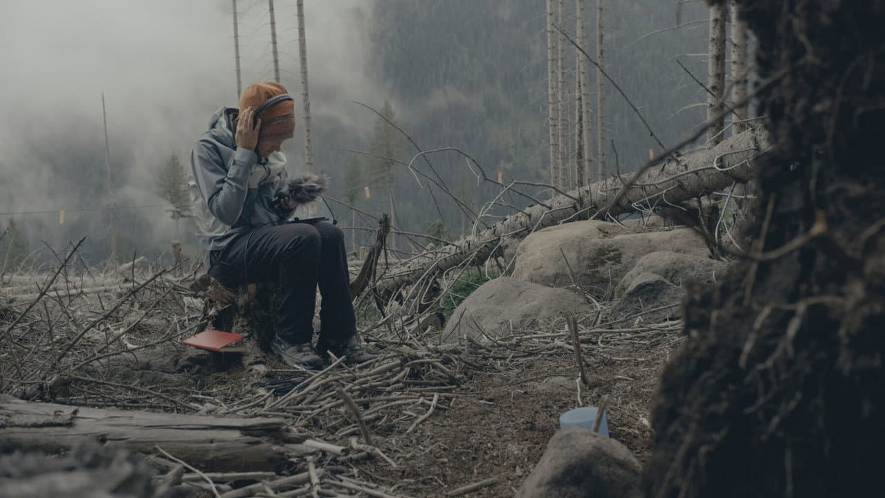 Il codice del bosco