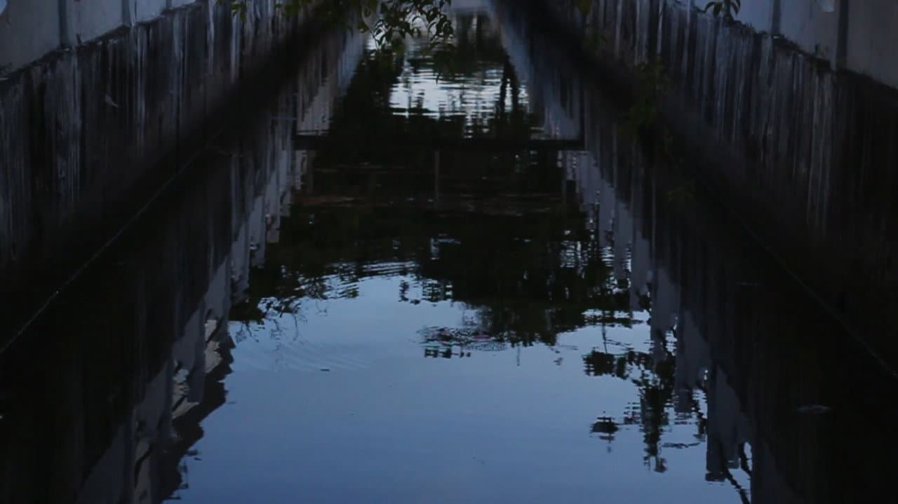 Se Houvessem Baleias no Rio