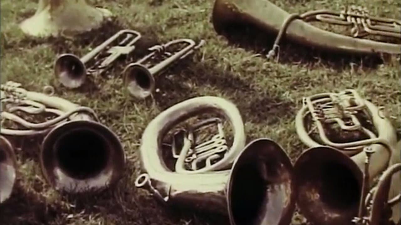 Village Orchestra