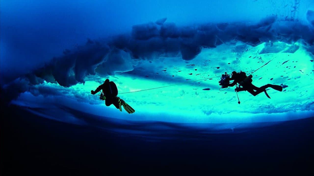 Deepsea Under The Pole
