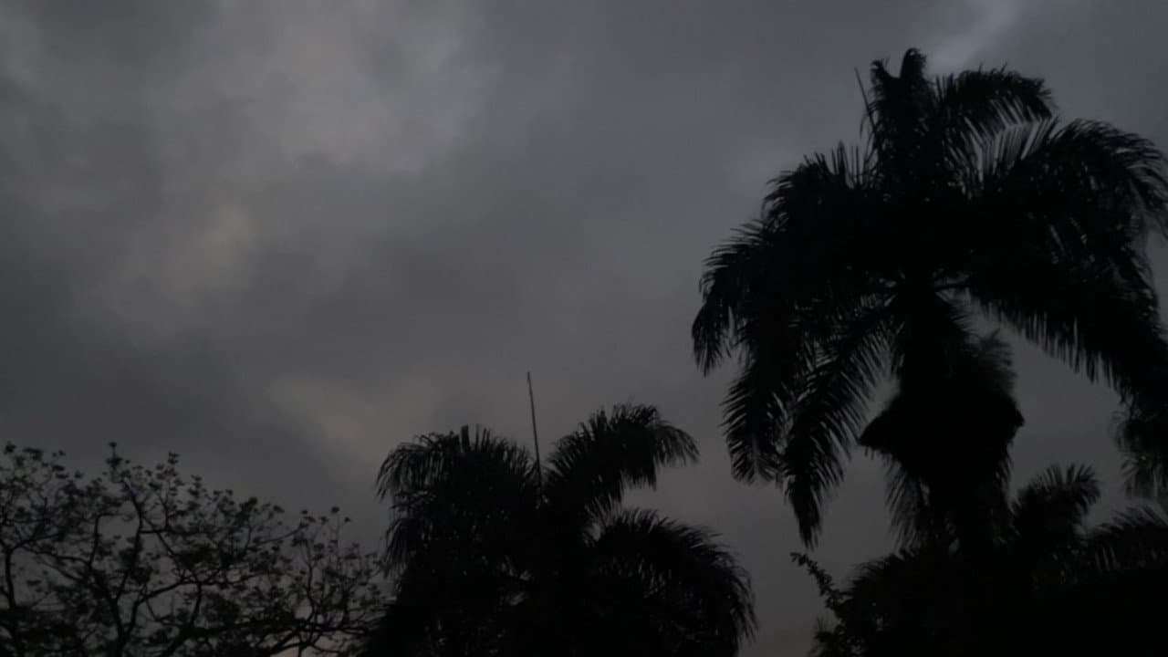 Ínsito