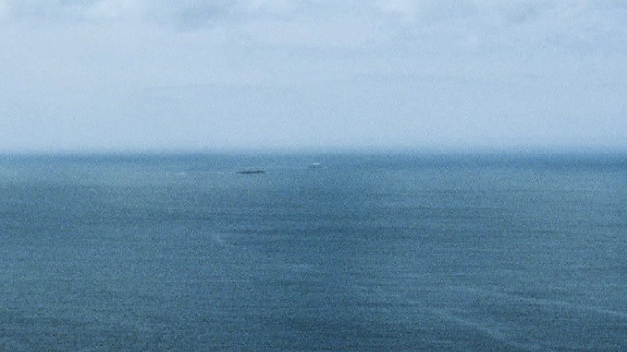 The Water Is Dead