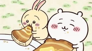 Firm Custard Pudding / Pancakes