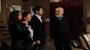 Episode 29