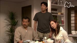 Episode 29