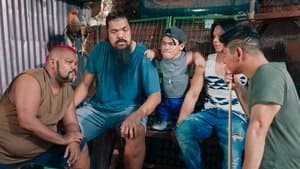 Tanggol's Recovery