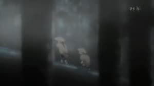 Strange Creatures