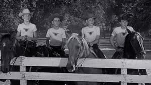 The Big Rodeo