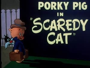 Scaredy Cat