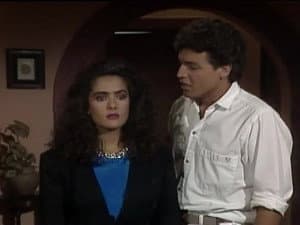 Episode 81