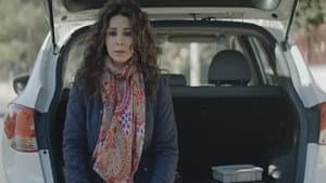 ربطة عنق